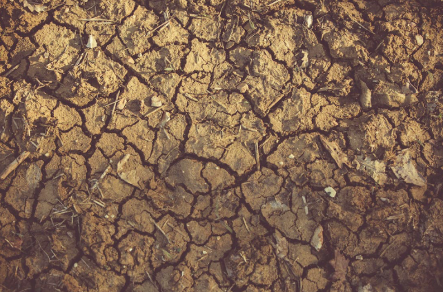 somalia siccità