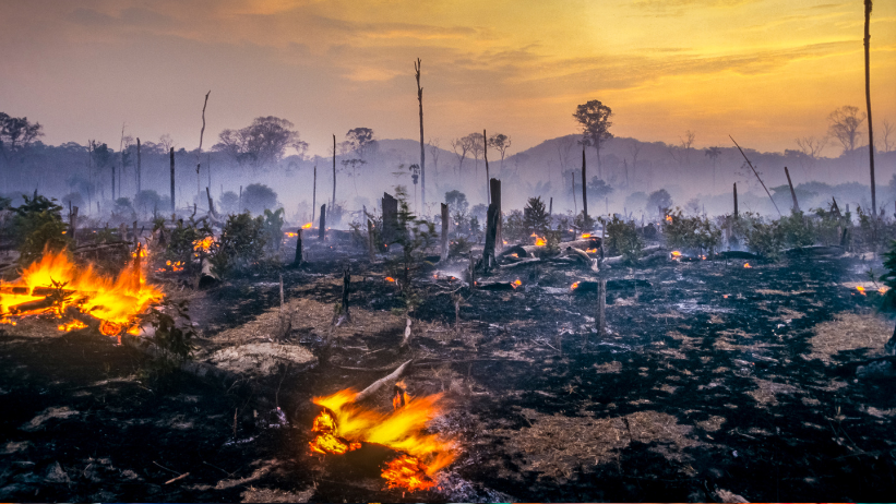 incendi amazzonia deforestazione