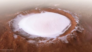 Marte, fotografato un cratere ghiacciato. Foto ANSA