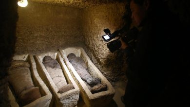 Egitto, scoperto un sito con 40 mummie