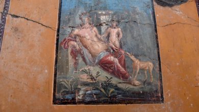 Pompei, affiora Narciso