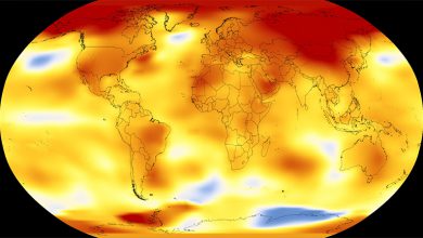 Riscaldamento globale: l'anomalia delle temperature globali nel 2017. Fonte NASA's Scientific Visualization Studio
