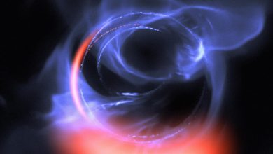 Simulazione di un buco nero