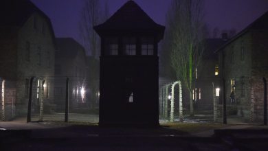 Auschwitz Ferrara bullismo antisemita
