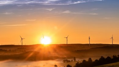 Ispra, Italia seconda solo alla Svezia per l'uso di fonti rinnovabili