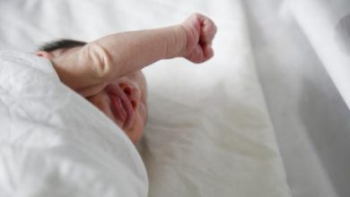 Bologna neonata
