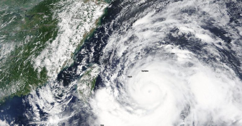 tifone lekima foto