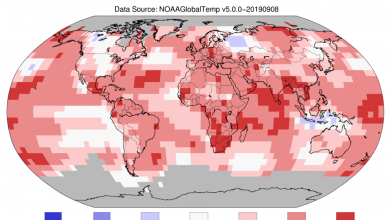estate 2019 la più calda per l'emisfero settentrionale