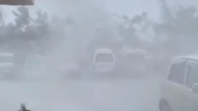 tifone lingling video
