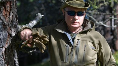 Putin compleanno foto