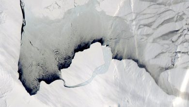 iceberg antartide